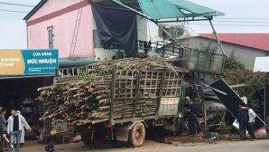 Hiện trường va chạm kinh hoàng ở Quảng Trị khiến 5 người thương vong, trong đó có 1 cháu bé