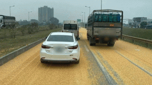 Nguyên nhân khiến 3 tấn ngô trên xe đầu kéo vương vãi trên cao tốc Hà Nội – Thái Nguyên