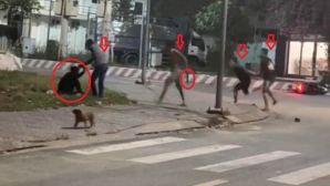 Nhóm người cầm hung khí đánh liên tiếp 1 người đàn ông và dọa giết, chỉ bỏ chạy khi nghe thấy 4 chữ