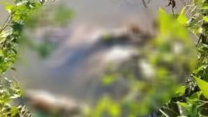 Hoàn cảnh gia đình nữ sinh lớp 7 bị sát hại ở Cà Mau: Bố mẹ đi làm xa, sống cùng ông ngoại