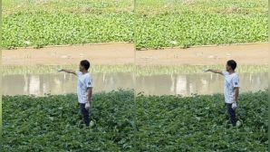 Phát hiện thi thể nam giới trôi trên rạch ở TPHCM: Công an khẩn trương truy tìm danh tính