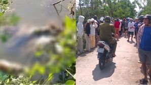 Lời khai nghi phạm 16 tuổi sát hại bé gái lớp 7 ở Cà Mau, sự thật thông tin có 5 người liên quan