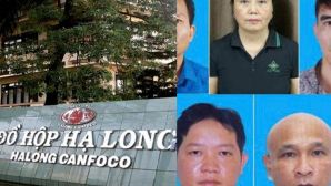 Thông tin nóng vụ 120 tấn thịt lợn nhiễm bệnh tuồn vào HaLong Canfoco: Triệu tập khẩn Tổng Giám đốc