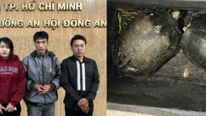 Chuyện hy hữu: Công an làm việc vụ 4 anh em ruột rủ nhau ăn trộm rùa tại chùa Chiêm Phước mang bán