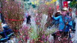 Dự báo mới nhất thời tiết Tết Nguyên đán 2026: Miền Bắc đối mặt rét đậm rét hại, mưa lớn có xuất hiện đúng kỳ nghỉ?