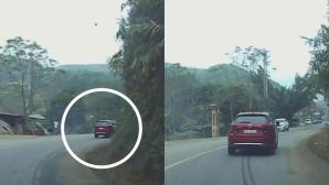 Thót tim cảnh ô tô suýt đấu đầu vì xe phía trước dừng giữa khúc cua mua ngô