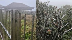 Đỉnh Mẫu Sơn xuống dưới 0 độ C, băng giá phủ trắng xóa trong đợt rét đậm kỷ lục