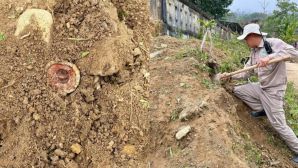 Dọn vệ sinh trường học, thầy trò vùng cao Huế bàng hoàng phát hiện bom chùm nguy hiểm ngay trước cổng