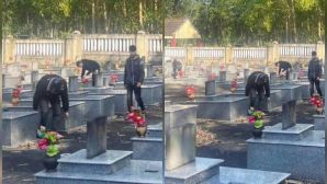 Dàn hàng ngang chụp ảnh khoe ‘chiến tích’ trên đường, nhóm quái xế bị đưa đi dọn nghĩa trang