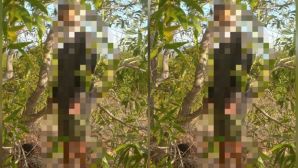 Vụ người đàn ông treo cổ trong rừng tràm ở Lâm Đồng: Hé lộ lá thư tuyệt mệnh và cuộc gọi cuối cùng