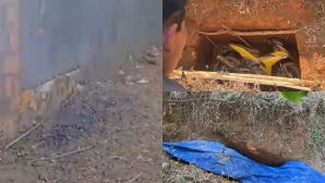 Phát hiện manh mối mới vụ cướp ngân hàng ở Gia Lai: Chỉ cách vị trí chôn xe máy Exciter khoảng 200m