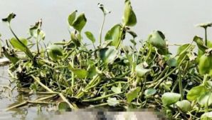 Nam thanh niên mất tích bí ẩn sau cuộc gọi với bố: Gia đình sốc khi nhận tin xé lòng