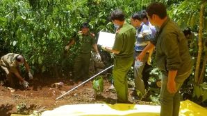 Vụ cụ bà ở Hà Nội bị sát hại dã man khi làm vườn: Hé lộ nhân thân bất hảo của hung thủ