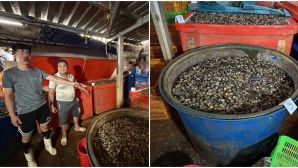 Rùng mình phát hiện cơ sở ngâm ốc bươu bằng “thủy tinh lỏng”, hàng ngàn tấn đã vào miệng người tiêu dùng