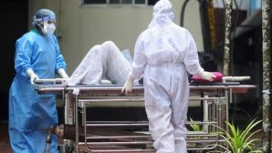 Virus Nipah xuất hiện trở lại: Thông tin nguồn lây và triệu chứng khó lường, Việt Nam kích hoạt cảnh báo cao
