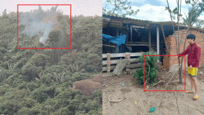 Vụ máy bơi quân sự rơi ở Đắk Lắk: Nam sinh lớp 11 run rẩy khi thấy cảnh mặt phi công bê bét máu