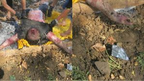 TP.HCM: Phát hiện 2 thi thể nam giới trên sông, ám ảnh tình trạng khi người dân tìm thấy