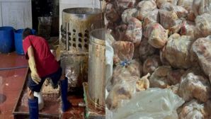 Phát hiện hơn 10 tấn thịt gà 'bẩn' trong kho lạnh tại Nha Trang: Hiện trường ai nhìn cũng rùng mình
