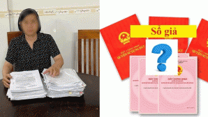 Giám đốc phòng giao dịch và 3 nhân viên ngân hàng để khách hàng thực hiện trót lọt 16 sổ hồng giả