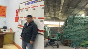 Phanh phui đường dây 'phù phép' lúa rẻ tiền thành ST25: Hàng trăm tấn giống giả bủa vây thị trường