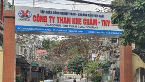 Một công nhân tử vong thương tâm trong lúc làm việc ở Quảng Ninh, hé lộ nguyên nhân vụ việc