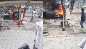 Bé trai nghịch lửa thiêu sống chó Samoyed, người chủ từ chối hòa giải riêng mà đưa yêu cầu đặc biệt