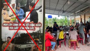 Cục CSGT lên tiếng về thông tin mua cây cảnh trưng Tết bị kiểm tra giấy tờ nguồn gốc