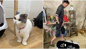 Cô gái phát hiện mèo cưng trong lò mổ, chủ quán đòi 6 triệu tiền chuộc nếu không sẽ làm 1 việc gây phẫn nộ