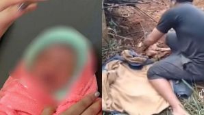 Thông tin mới vụ bé sơ sinh bị bỏ rơi, kiến bu khắp người: Đã tìm ra người mẹ, sức khỏe hiện ra sao?