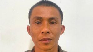 Thủ đoạn ‘hô biến’ cây cảnh giá trị cao được bán giá thấp bất thường khiến hàng trăm người sập bẫy