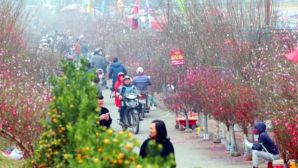 Mùng 4 Tết: Bắc Bộ rét về đêm và sáng, Nam Bộ có nơi nắng nóng trên 35 độ C