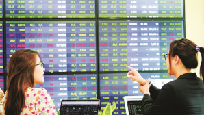 Doanh nghiệp nhà nước lập kỷ lục lợi nhuận: Trụ đỡ thực sự của thị trường chứng khoán?