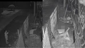 Công an thông tin nóng vụ chồng đâm vợ ở Đồng Tháp, bất chấp con nhỏ cầu xin ‘ba ơi đừng xử mẹ mà’