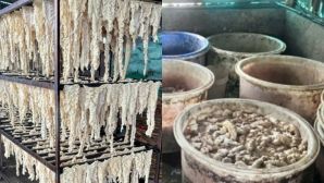 Hiện trường pháp hiện hàng chục tấn lòng lợn, dạ dày, chân gà 'bẩn' trong một kho lạnh ở Hải Phòng