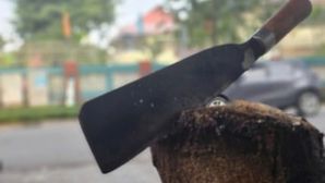 TPHCM: Nghẹt thở vây bắt kẻ cầm dao rượt 3 mẹ con, cướp xe máy rồi lẩn trốn vào nơi không ai ngờ tới 