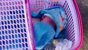 Xót xa lá thư ‘lỡ dại’ của người mẹ là học sinh cấp 3 bỏ rơi bé trai đỏ hỏn trước cổng nhà dân