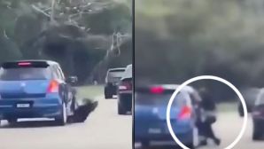 Chồng cũ liều mạng bám xe vợ vũ suốt 2km: Hé lộ cái kết đắng sau kết quả xét nghiệm