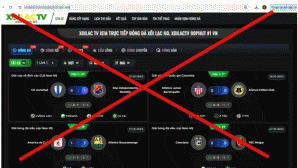 Vén màn lý do vì sao hai ‘ông trùm’ đã bị bắt nhưng nhiều website mang tên Xôi Lạc TV vẫn hoạt động