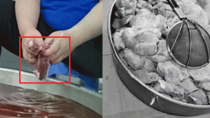 Vụ ‘hô biến’ thịt quá hạn: Sở GD&ĐT TP.HCM công bố 7 trường học từng sử dụng suất ăn từ Sago Food