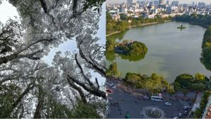 Hai lần trung tâm Hà Nội có tuyết rơi: Hồ Gươm bị đóng băng, cá chết cóng