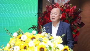 Vinaconex bất ngờ muốn bán hơn 18% vốn tại VIWASEEN sau chuỗi 7 phiên tăng trần