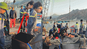 Vụ 3 người tử vong trong hầm tàu ở Ninh Thuận: Nguyên nhân tử vong và tình hình 2 nạn nhân còn sống