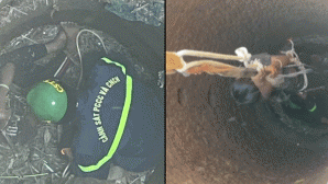 Nguyên nhân khiến bé trai ở Đắk Lắk rơi xuống giếng hoang sâu