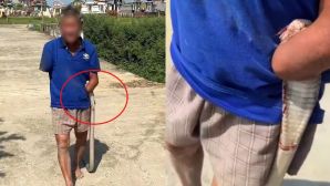 Cụ ông cụt hai tay kẹp rắn về nhà ở Đà Nẵng, gia đình nhận số tiền hỗ trợ lớn, lên tiếng dừng tiếp nhận 