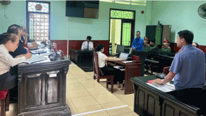 Vụ gã đàn ông sát hại con rể ở Gia Lai: Nguồn cơn vụ việc và mức án bị cáo phải nhận sau tội ác?