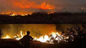 Hiện trường vụ cháy tại khu tái định cư 7 ha ở TP.HCM: Khói đen bốc cao, người dân gồng mình dập lửa