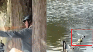 Danh tính thanh niên dùng ná cao su bắn chim giữa phố Đà Lạt, hành hung 1 phóng viên khi bị nhắc nhở