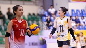 Link xem trực tiếp bóng chuyền nữ Việt Nam Cup Hoa Lư - Bình Điền 23/3: Binh chủng Thông tin thua đau?