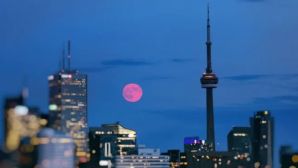 Tối nay 1/4 'Trăng hồng' xuất hiện tại Việt Nam: Lưu ý thời gian và địa điểm xem ở cả 3 miền!