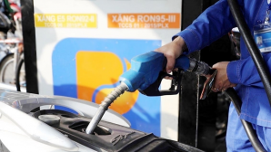 Phát hiện dấu hiệu bất thường tại một số doanh nghiệp xăng dầu, Cục Thuế yêu cầu kiểm tra khẩn